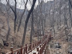 -大岭沟猕猴桃谷风景区