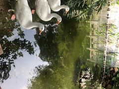 -国恩寺