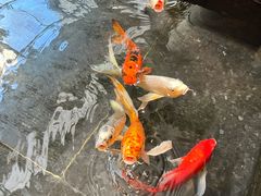 -天津海河悦榕庄·Lobby Lounge大堂吧