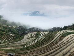 -螺满地螺丝粉