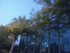 -郑州市第十一中学