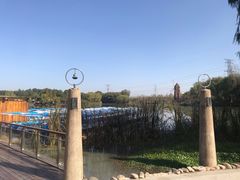 -昆山城市生态森林公园