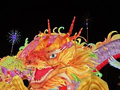 -武汉园博园(武汉自然博物馆)