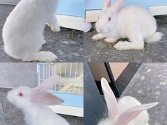 -SHRIMP CLUB万东餐饮钓虾·清吧