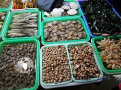 贝类-都斛海鲜街