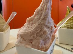 -野人先生现做冰淇淋(北京王府井东方新天地店)