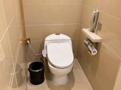 -江门新会碧桂园凤悦凤凰酒店(万达广场店)