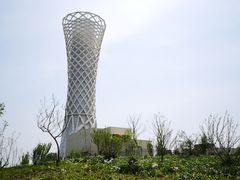 -上海滨江森林公园