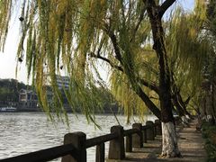 -运河游船(武林门码头)