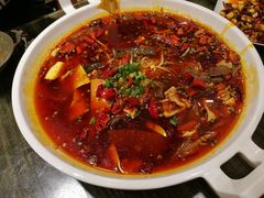 毛血旺-庆合府重庆大排档(紫都城店)