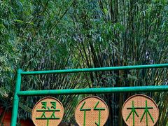 -英西峰林·洞天仙境