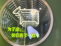 -迷客夏Milksha(圆融天幕店)