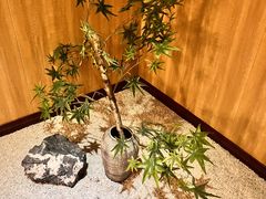 -乐山上善居·养心禅景酒店(世豪广场高铁站店)