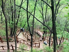 -大岭沟猕猴桃谷风景区
