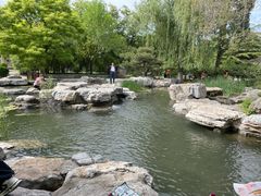 -莲花池公园