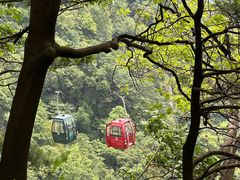 -王顺山国家森林公园