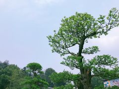 -常德桃花源景区