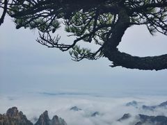 -自游人·美食一楼·地道徽菜(三十年名店)
