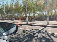 -哈尔滨大剧院