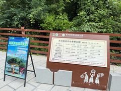 -西双版纳原始森林公园