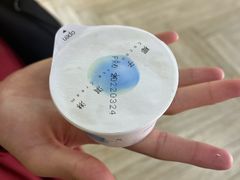 椰子冰激凌-伏小桃(茂业天地店)