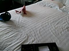 android_upload_pic-桔子酒店(青岛五四广场店)