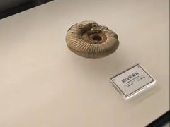 -辽宁古生物博物馆