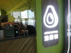 -油梨树AVOCADO TREE(望京店)