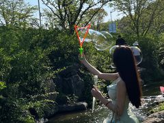 -羊山湖公园