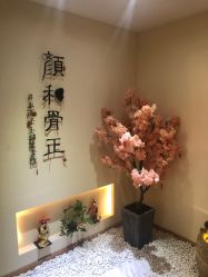 -颜和骨正·明哲式骨相美学整骨