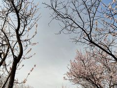 -国家植物园