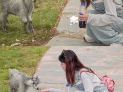 -南戴河国际娱乐中心