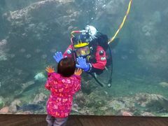 -西雅图水族馆