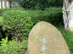 -八大山人梅湖景区
