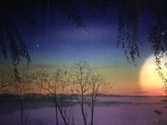 -溱湖国家湿地公园