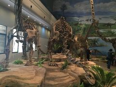 -自贡恐龙博物馆