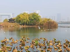 -渤公岛生态公园