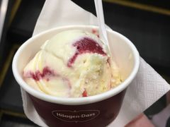 -哈根达斯(朝阳大悦城店)