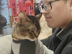 -柴迷FANS CLUB·柴犬狗咖·猫咖