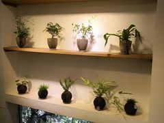 -植觉