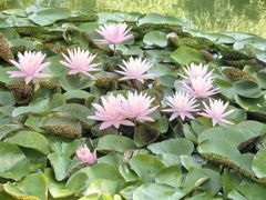 -国家植物园南园