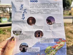 -莲花岛景区