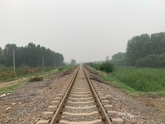 -东郊湿地公园