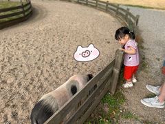 -前小桔亲子创意农场·草莓采摘·露营烧烤
