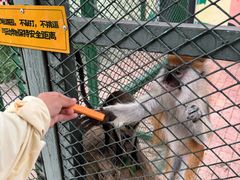 -水上乐园·欢乐世界