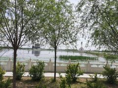 -呼兰河口湿地公园