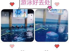 -蓝旗游泳·青训·亲子水域中心(方庄中心)