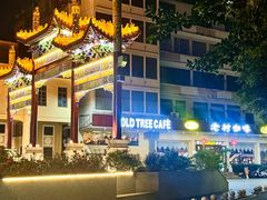 -OLD TREE老树咖啡·西餐厅(台山人工湖店)