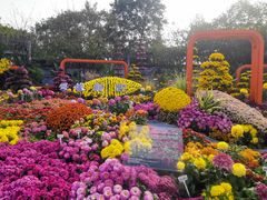 -南山植物园