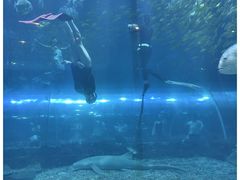 -华夏文旅海洋公园